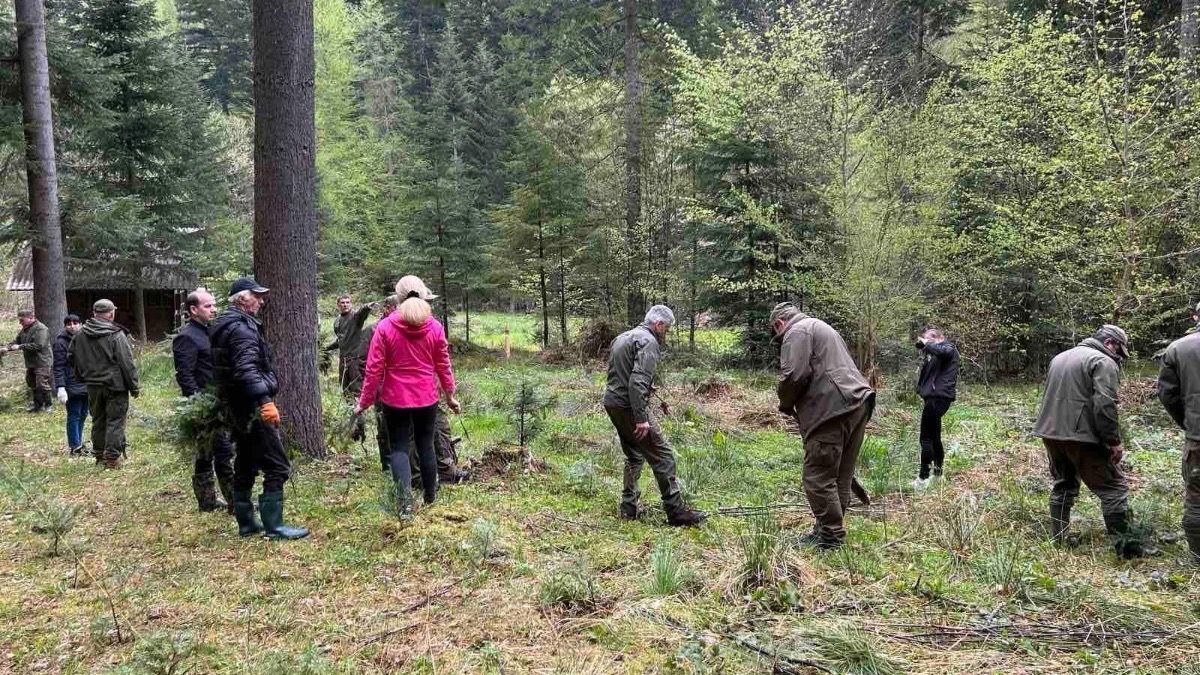 На Косівщині висадили дерева 1