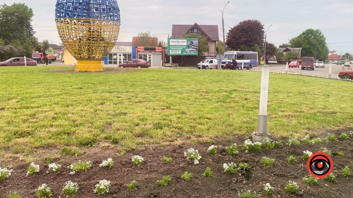 На кільці у Коломиї висадили квіти 3