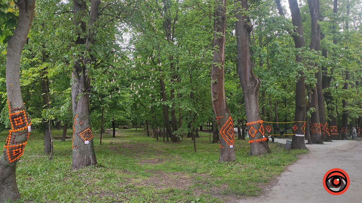 У міському парку Коломиї до Дня вишиванки прикрасили дерева 2