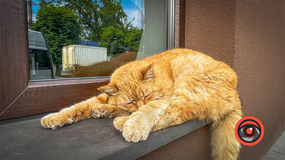 Погода у Коломиї 28 травня