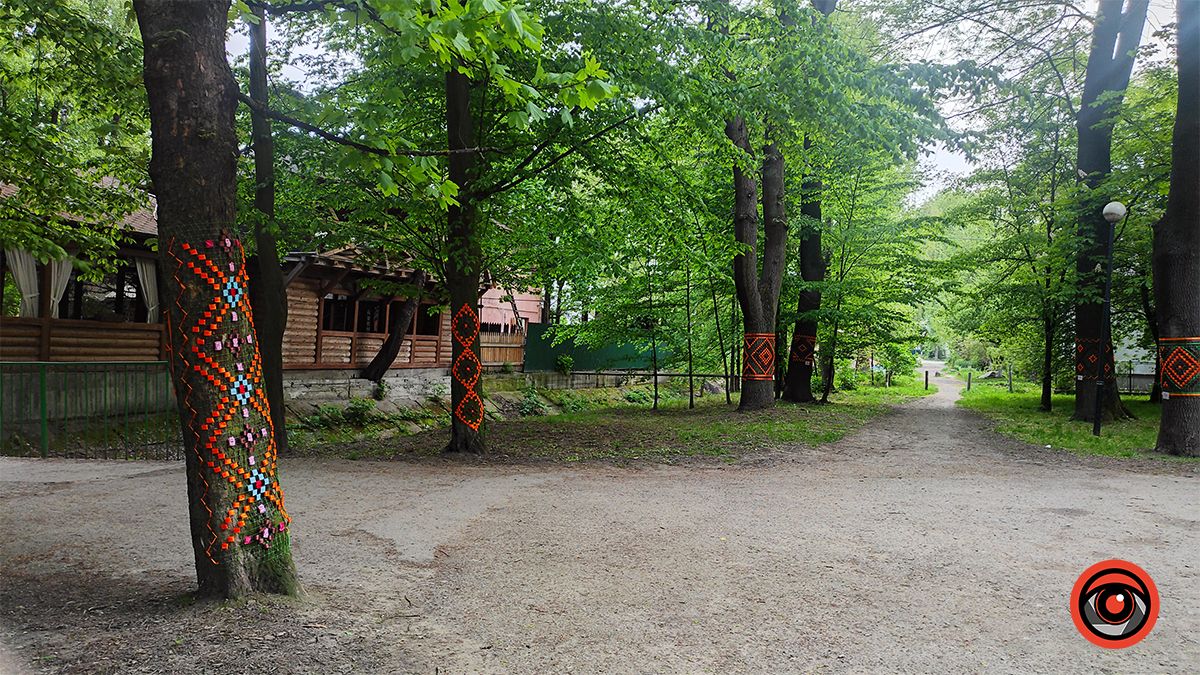 У міському парку Коломиї до Дня вишиванки прикрасили дерева 3