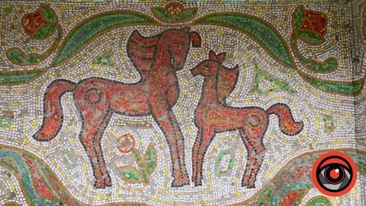 Зупинка в с. Годи-Добровідка