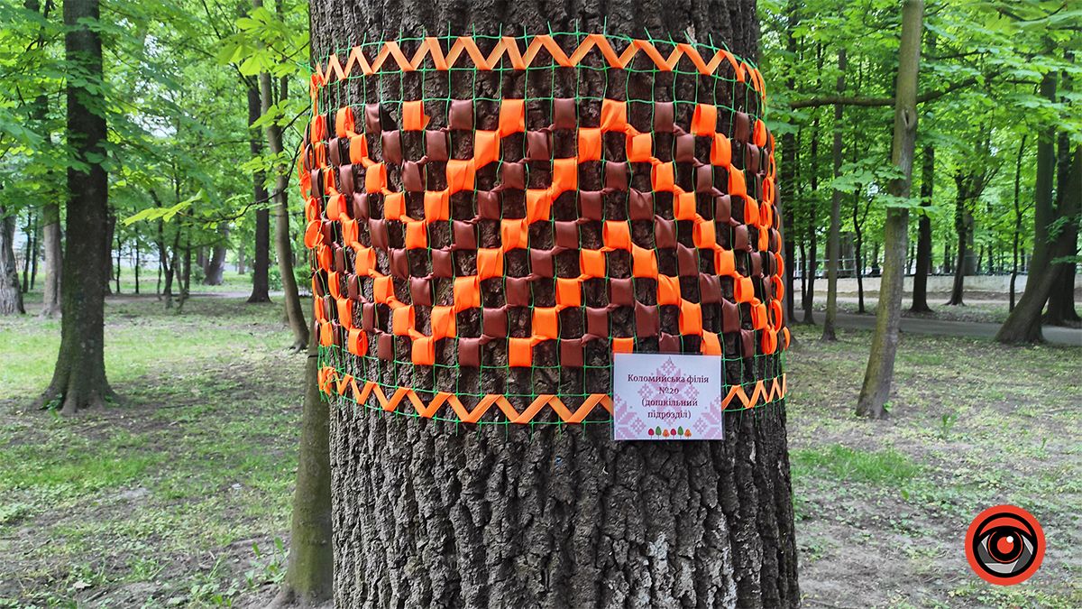 У міському парку Коломиї до Дня вишиванки прикрасили дерева 4