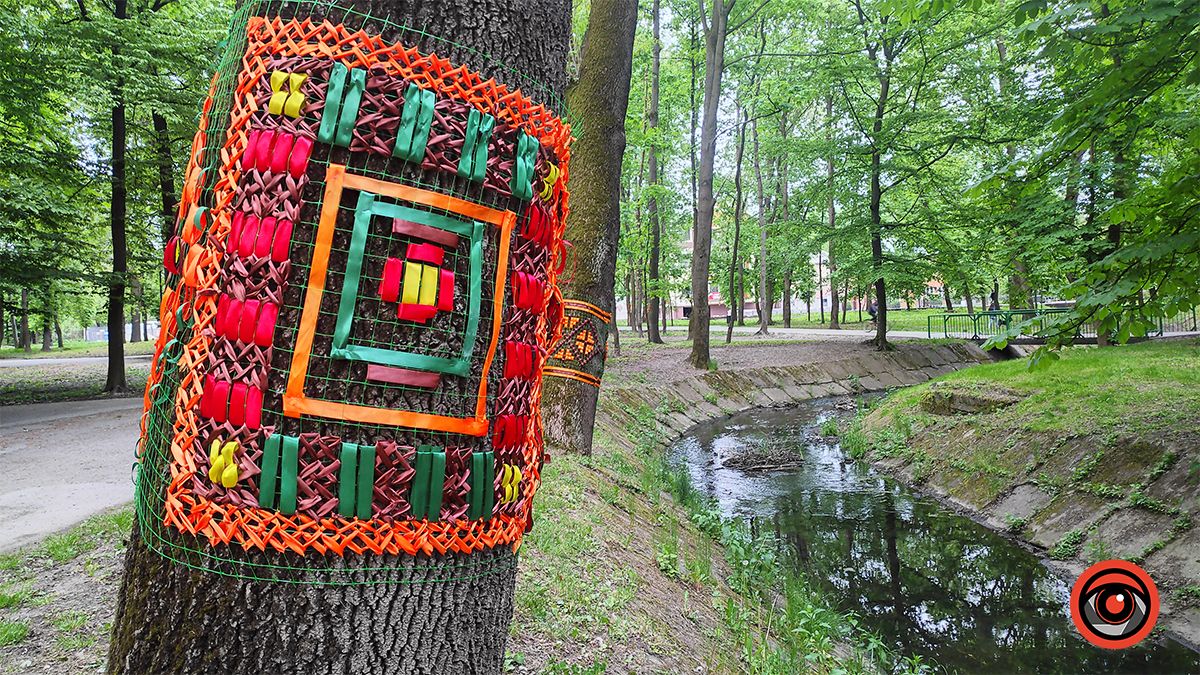 У міському парку Коломиї до Дня вишиванки прикрасили дерева 5