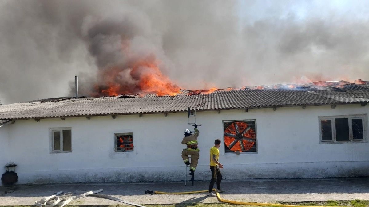 На Коломийщині зайнялася птахоферма 1