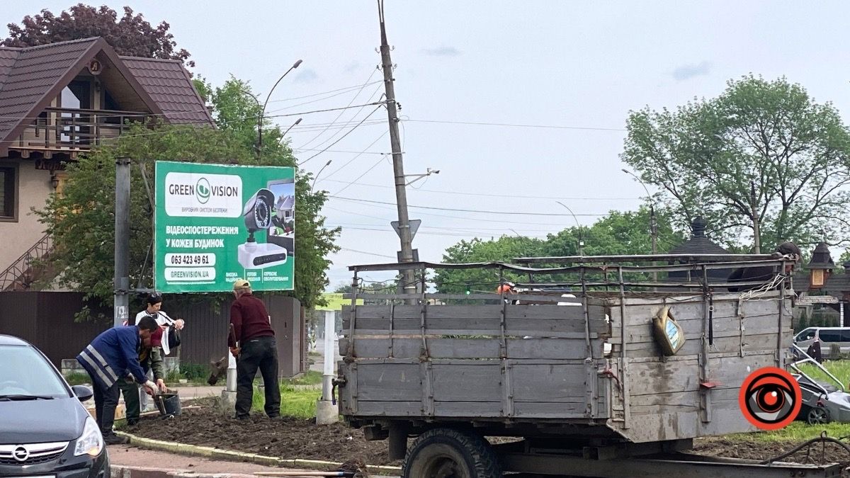 На кільці у Коломиї висадили квіти 1