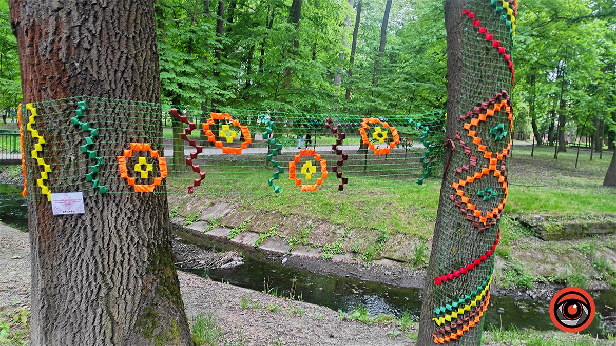 У міському парку Коломиї до Дня вишиванки прикрасили дерева 6