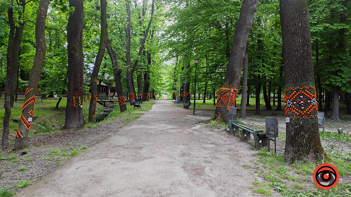 У міському парку Коломиї до Дня вишиванки прикрасили дерева
