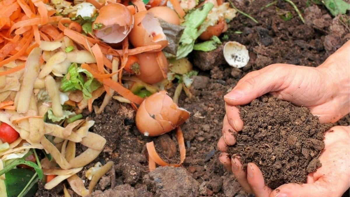 29 травня: цей день в календарі 3