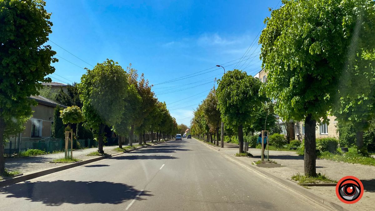 Коломия в травні | Фотоархів 2023 року 15