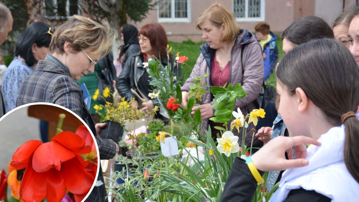 У Надвірній продавали квіти та саджанці, аби допомогти ЗСУ