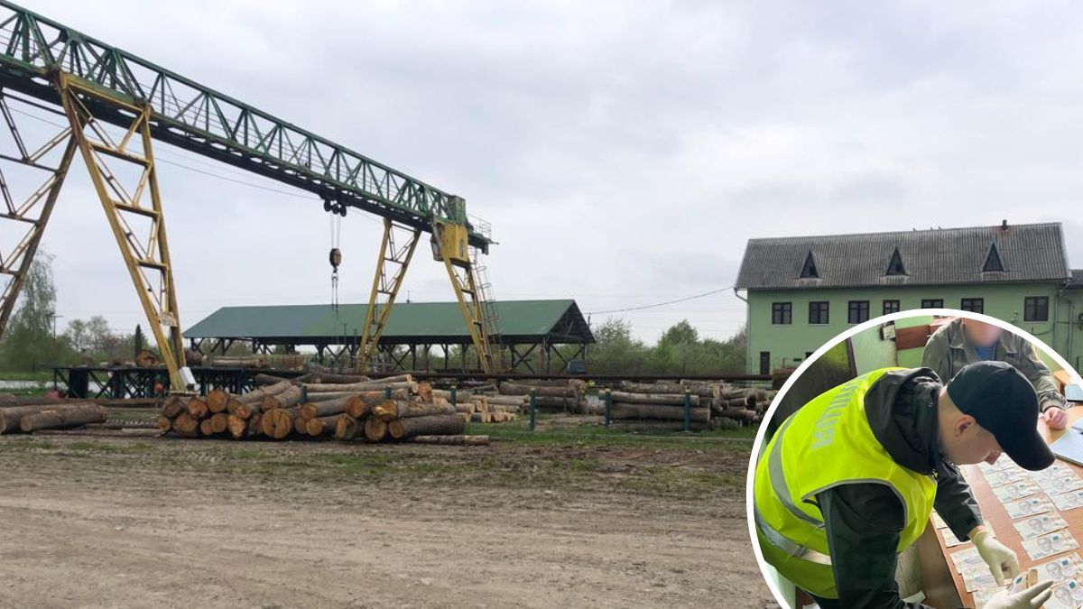 Один із керівників філії Коломийського лісгоспу відпускав деревину за хабарі 2