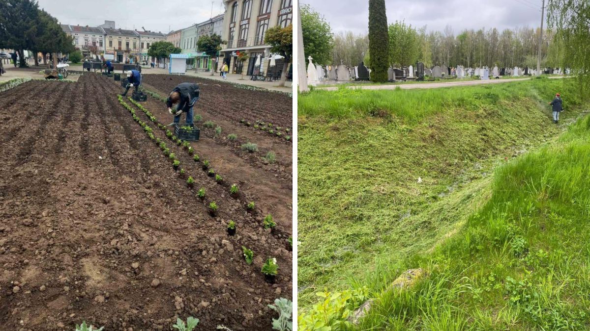 Що робили комунальники протягом минулого тижня | звіт 4