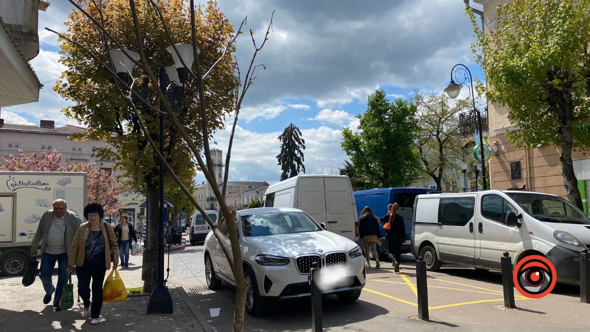 Вандали понищили молоді дерева у центрі Коломиї 2