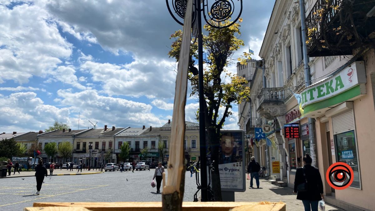 Вандали понищили молоді дерева у центрі Коломиї 3