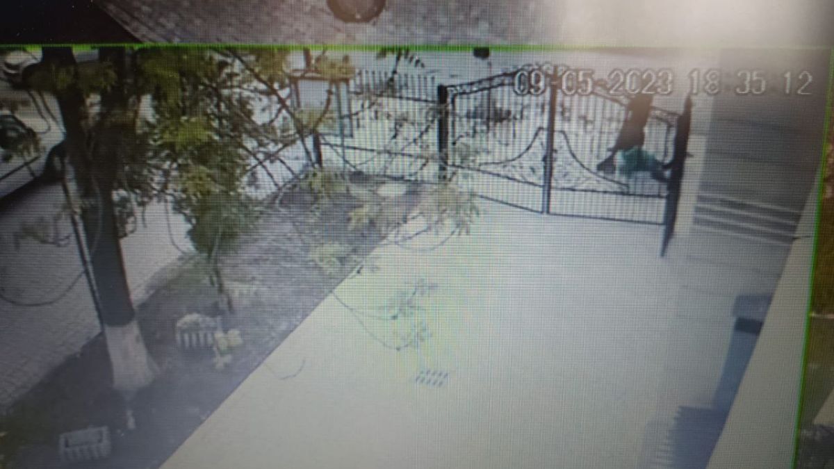 Керманича електросамоката, який в Коломиї наїхав на дитину, притягнули до відповідальності 1