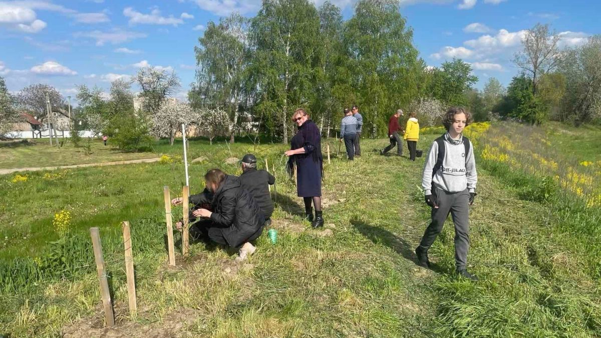У Нижньому Вербіжі висадили саджанці 2