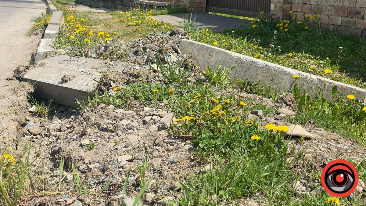 Проблемна ділянка: мешканці вулиці Старицького просять відремонтувати шмат тротуару 5