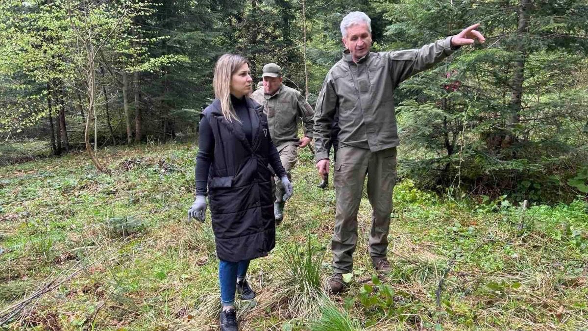 На Косівщині висадили дерева 3