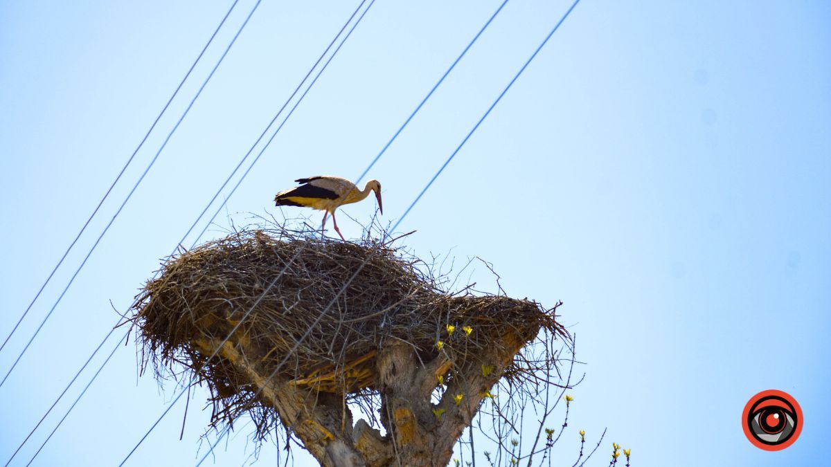 Ценява: перша згадка, історичні місця та версії заснування 28