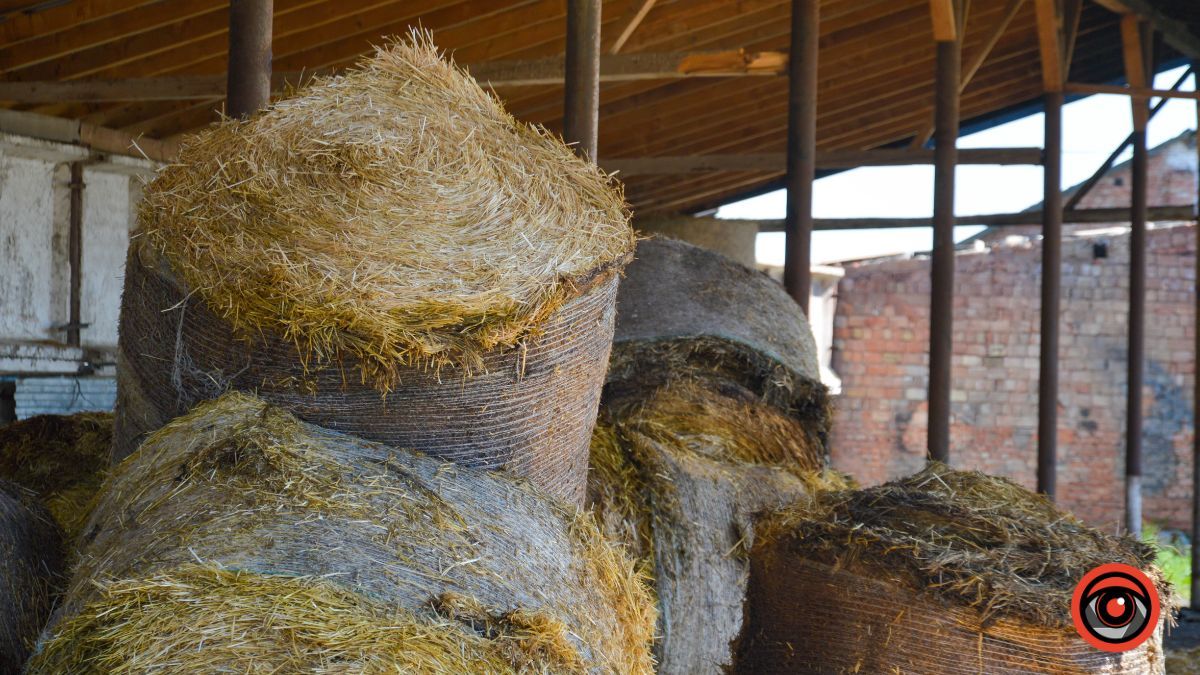 Ценява: перша згадка, історичні місця та версії заснування 27