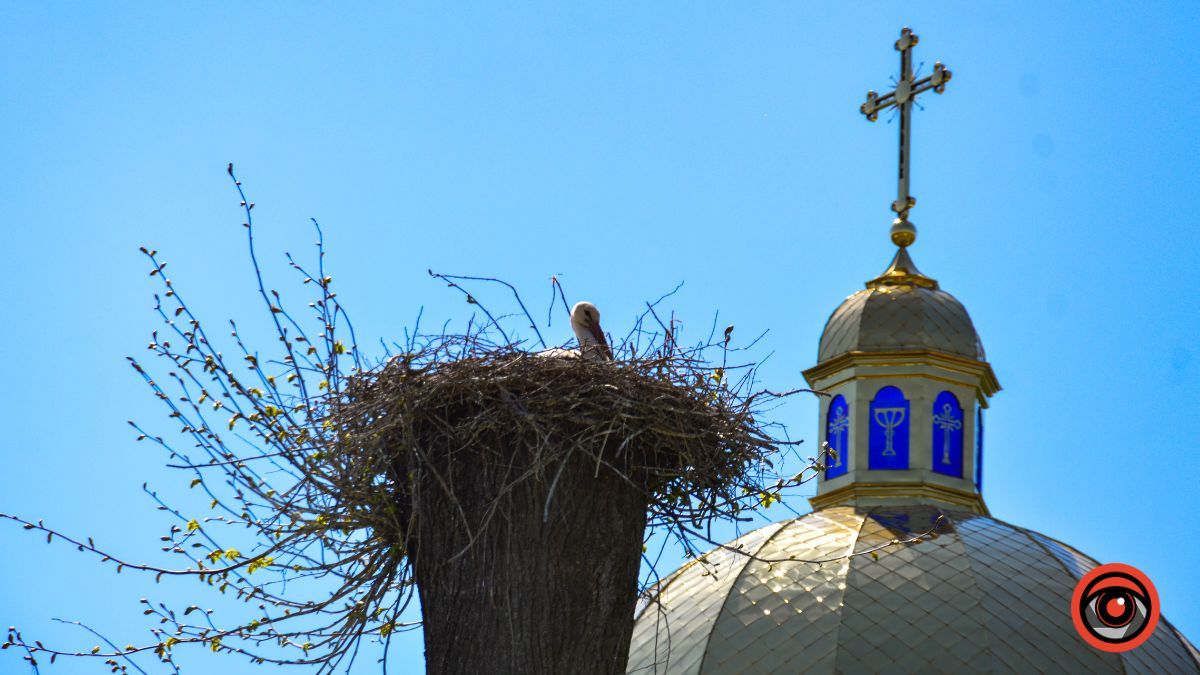 Ценява: перша згадка, історичні місця та версії заснування 6