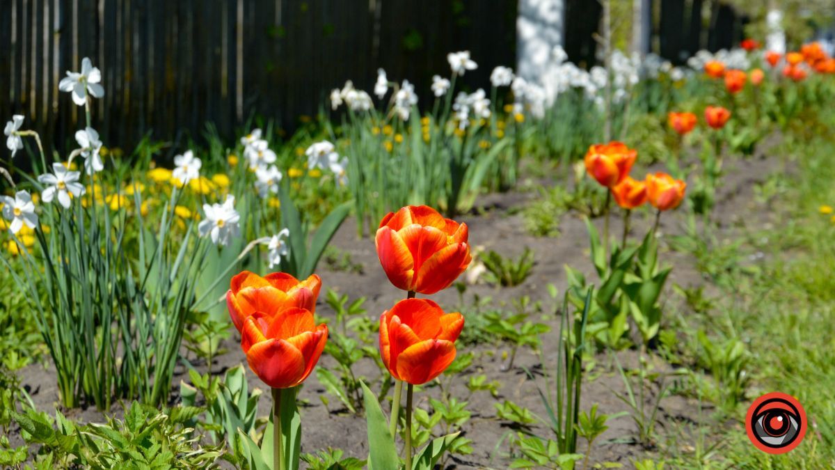 Ценява: перша згадка, історичні місця та версії заснування 17