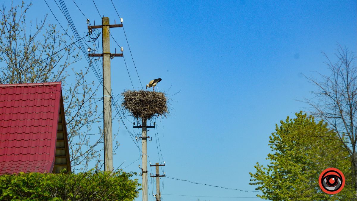 Ценява: перша згадка, історичні місця та версії заснування 14