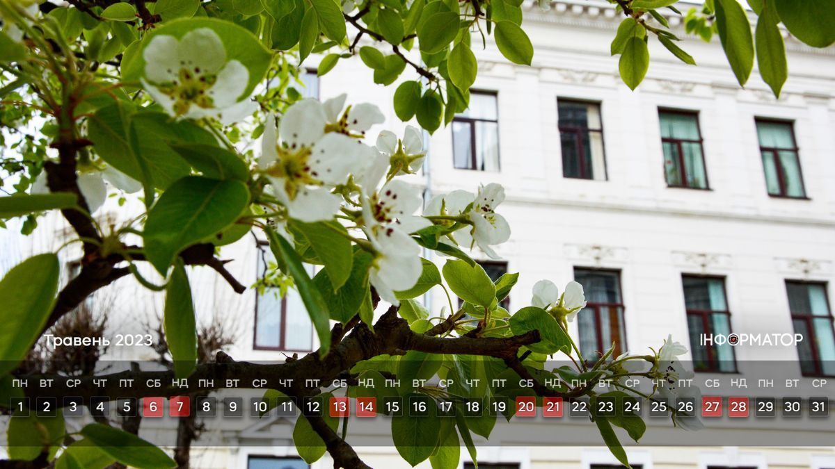 Календар на ваш робочий стіл | Травень 2023 12