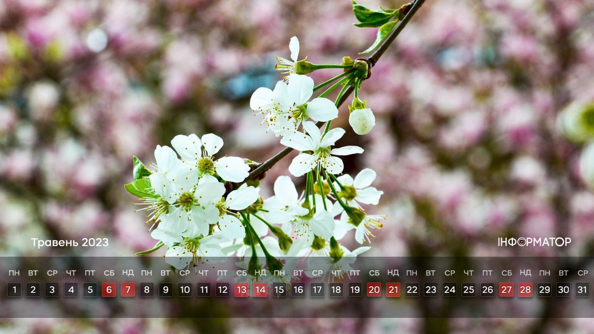 Календар на ваш робочий стіл | Травень 2023 9