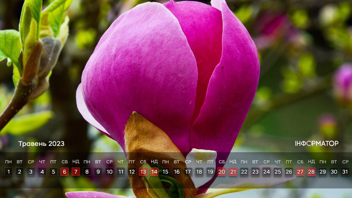 Календар на ваш робочий стіл | Травень 2023 7