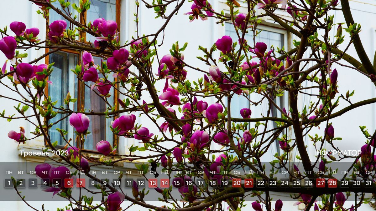 Календар на ваш робочий стіл | Травень 2023 5