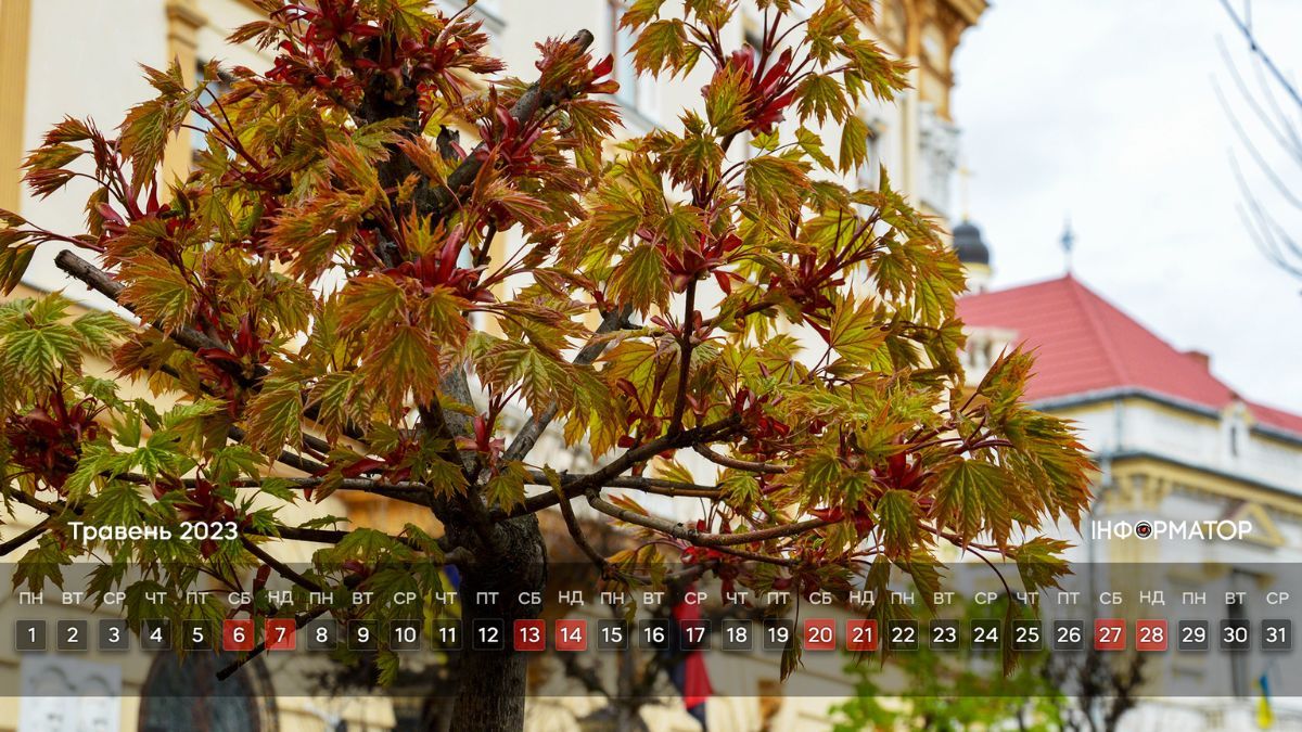 Календар на ваш робочий стіл | Травень 2023 4