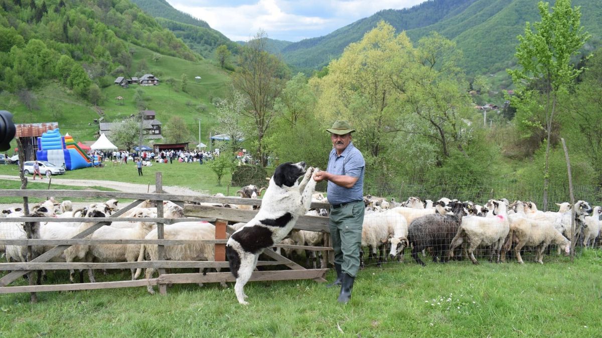 Творчі колективи Коломиї відвідали Румунію 4