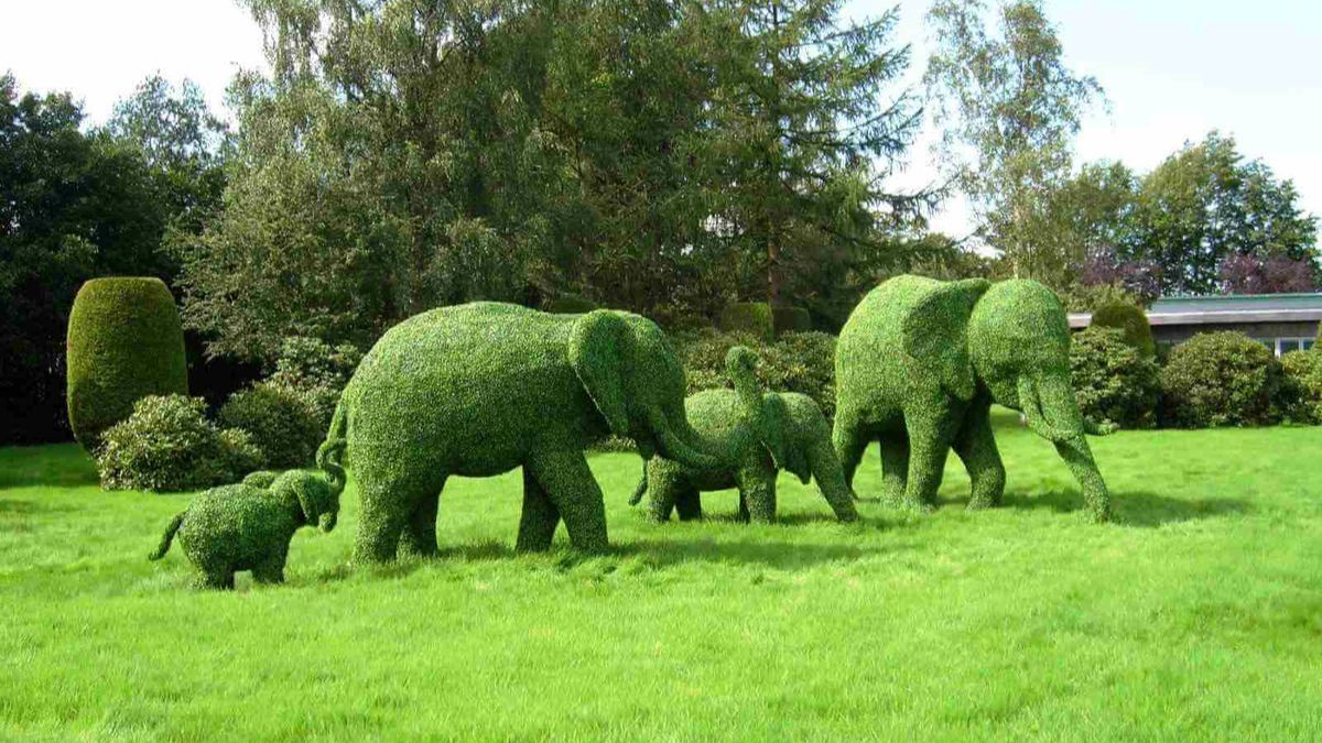 14 травня: свята, іменинники, важливі події в історії 4