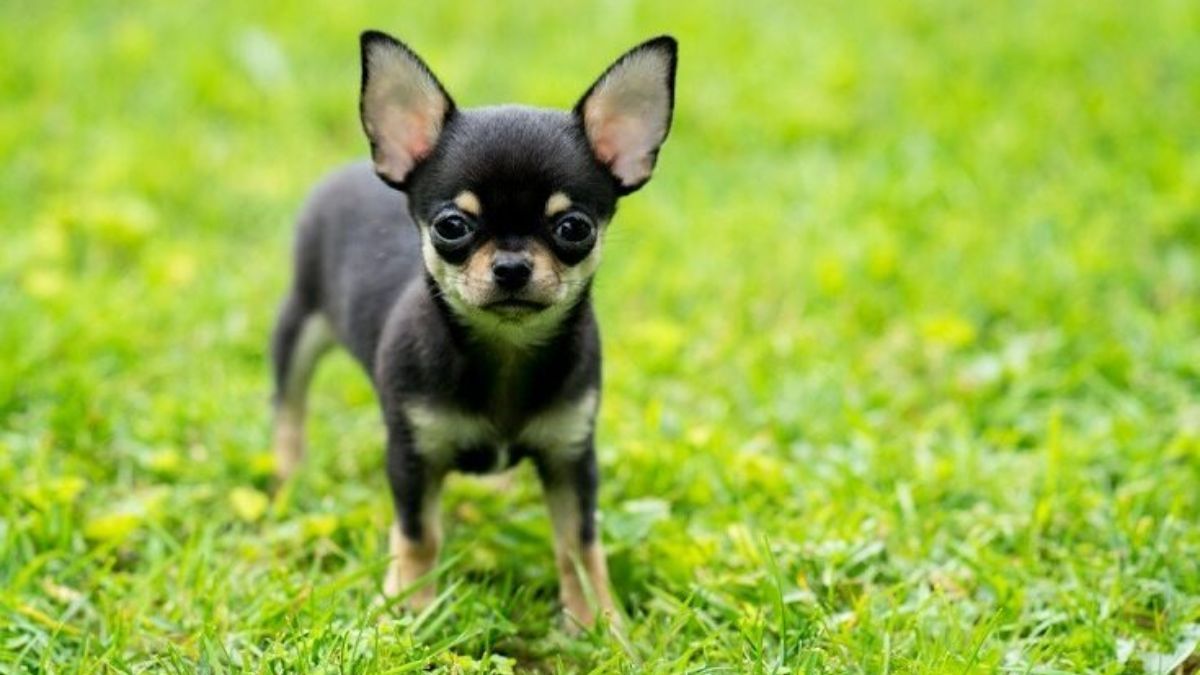 14 травня: свята, іменинники, важливі події в історії 3