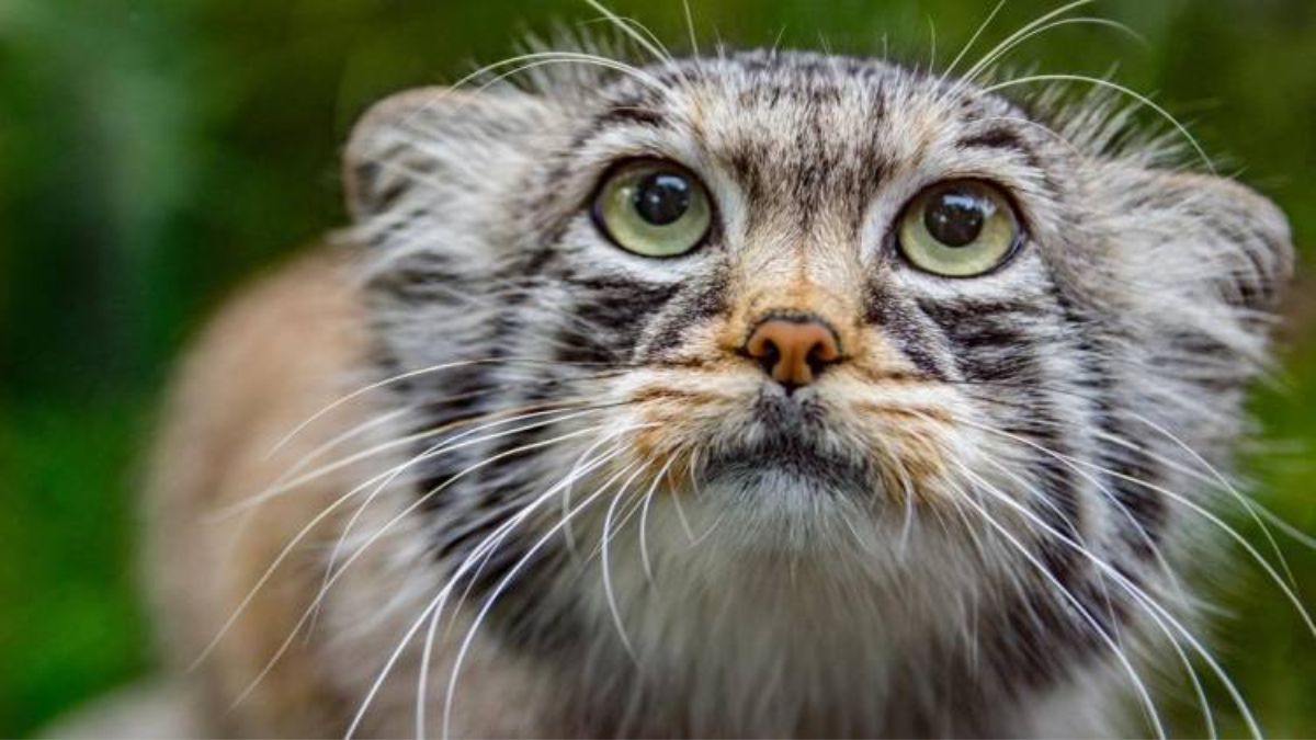 Який сьогодні день? | 19 травня 3