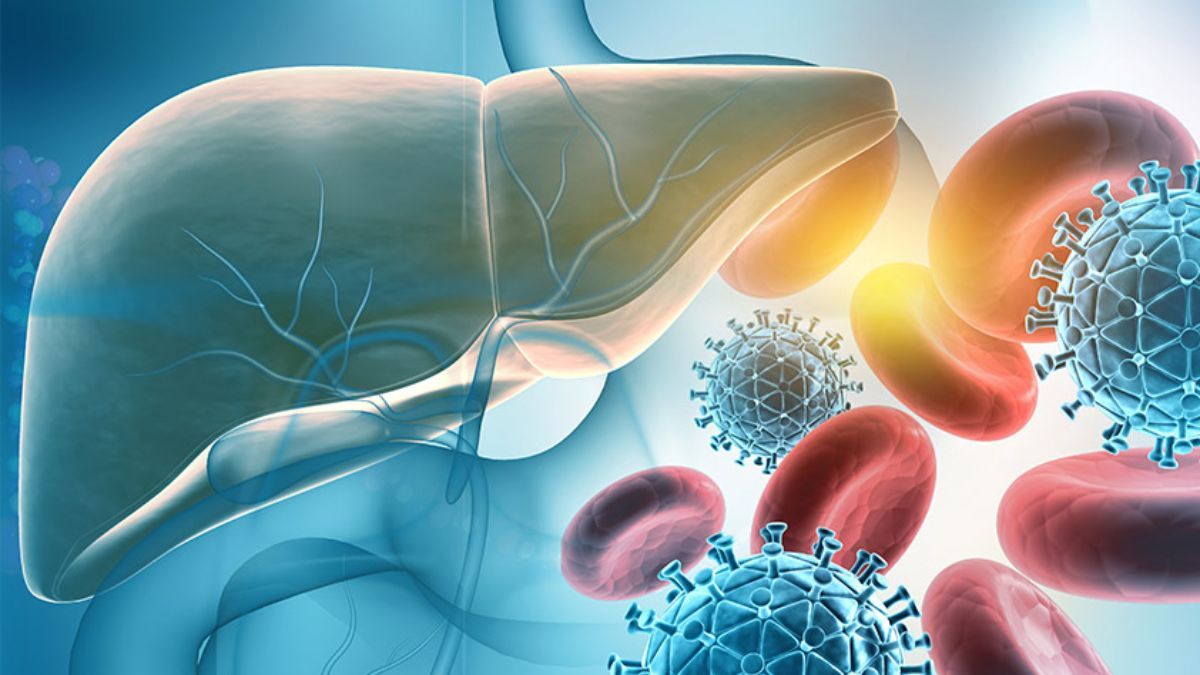 Який сьогодні день? | 19 травня 6