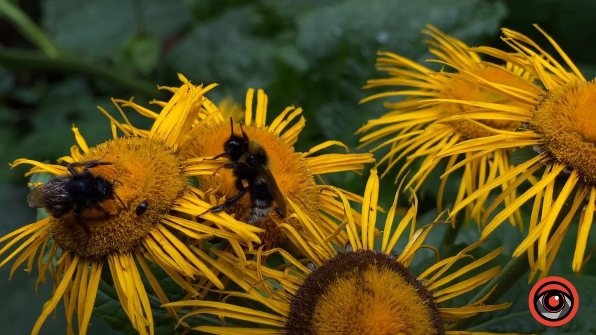 Який сьогодні день? | 20 травня
