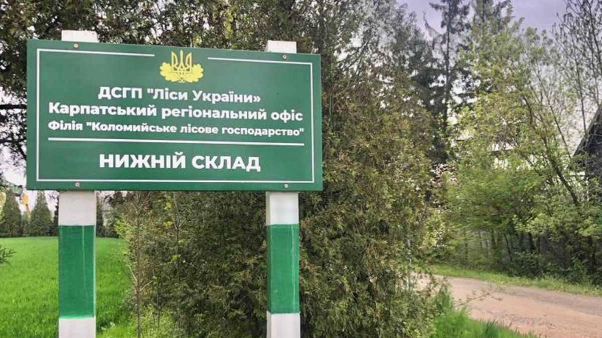 Один із керівників філії Коломийського лісгоспу відпускав деревину за хабарі 1