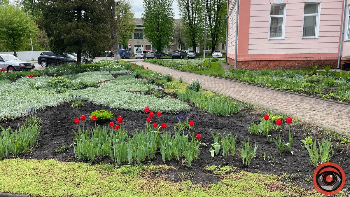 Острівець краси: як виглядає територія біля Коломийської лікарні 5