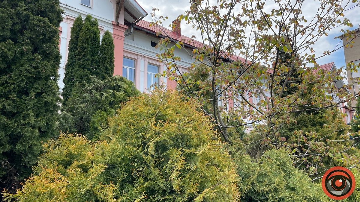 Острівець краси: як виглядає територія біля Коломийської лікарні 2