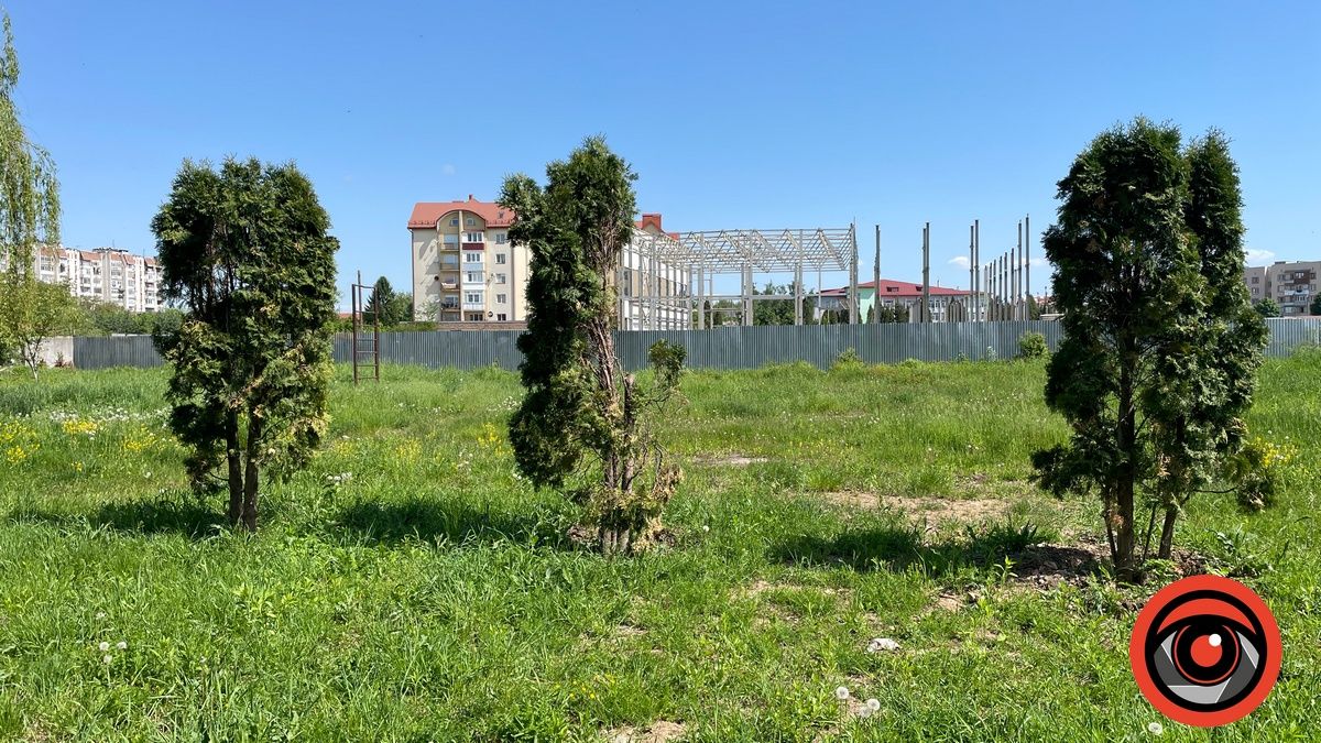 пересаджені з-під Музею туї на міському озері в Коломиї, 21 травня 2023 року