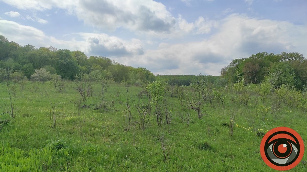 Відпочинок поруч Коломиї | Воскресінецька гора та Замчище: маршрути, краєвиди і фото 6