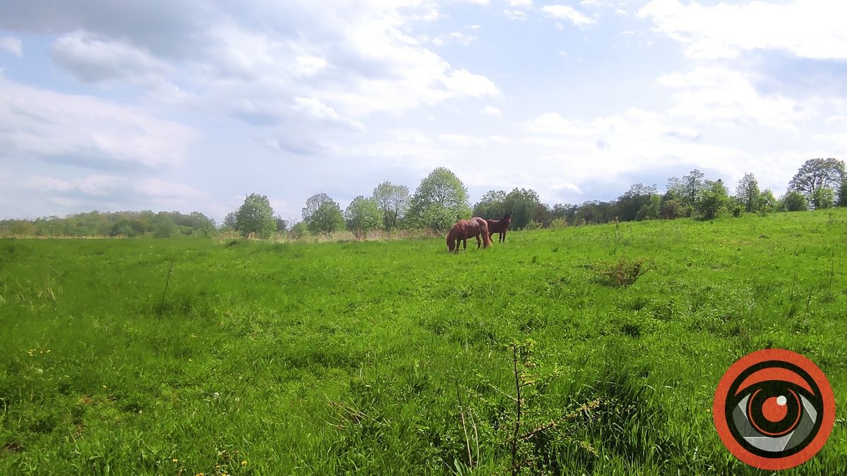 Відпочинок поруч Коломиї | Воскресінецька гора та Замчище: маршрути, краєвиди і фото 10