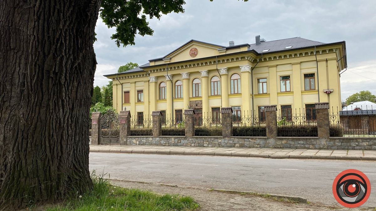 Як поживає Франковий дуб в Коломиї і чому його охороняють 6