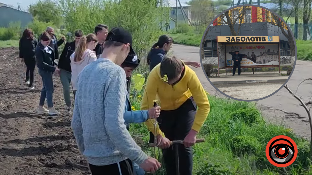 У Заболотівській громаді висадили дерева попри дорогу, яку замітає снігом