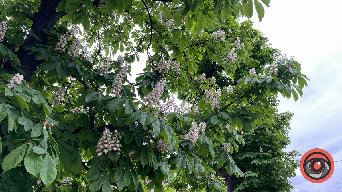 Погода у Коломиї 19 травня буде максимально різною