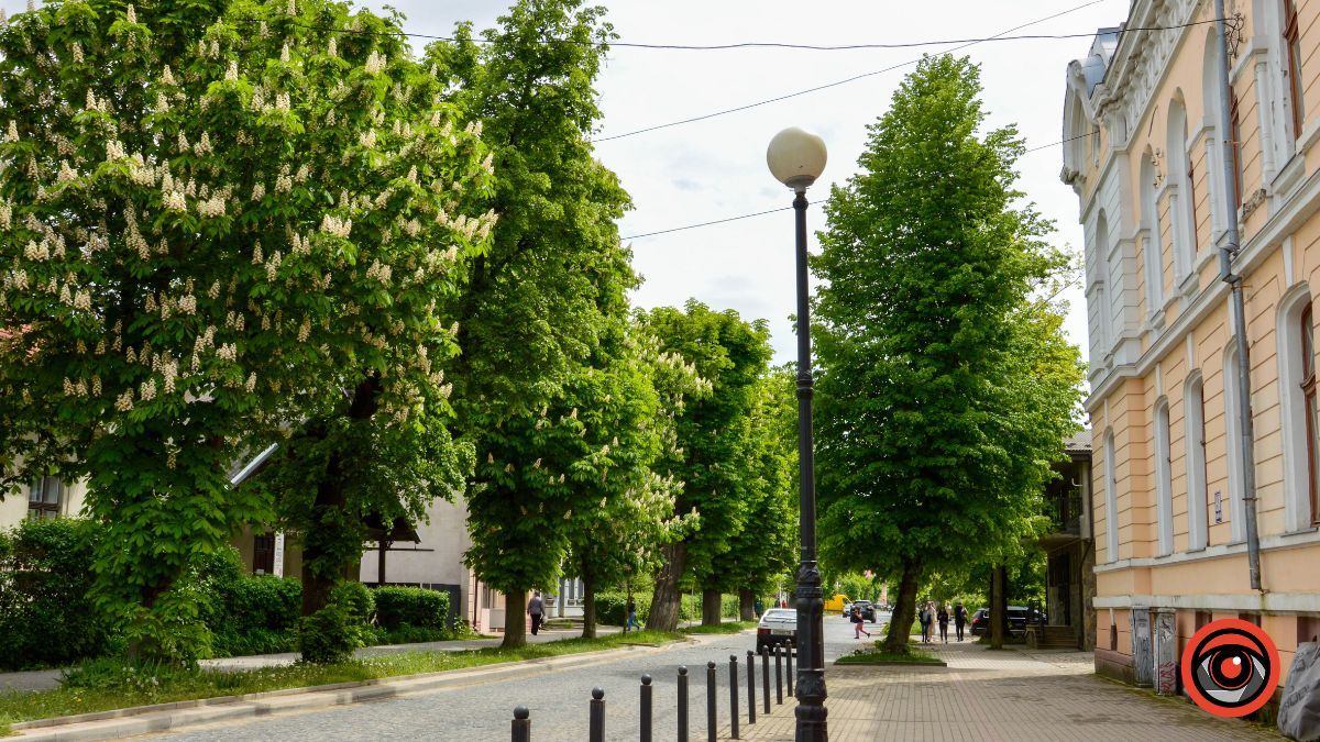 Куди піти у Коломиї 3 червня