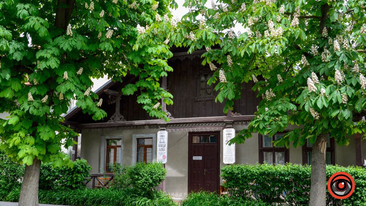 Травневий бульвар: як у Коломиї цвітуть каштани? 4